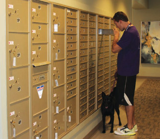 What is included with the CBU?